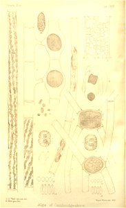 n113_w1150