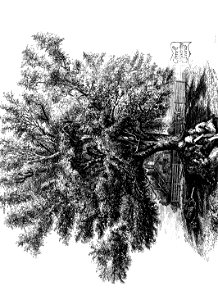 n83_w1150