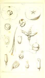 n128_w1150