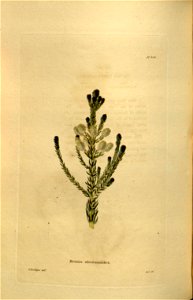 n114_w1150