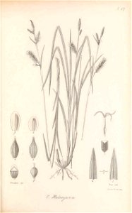 n204_w1150