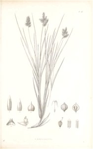 n144_w1150