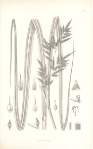 n112_w1150