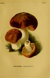 n48_w1150