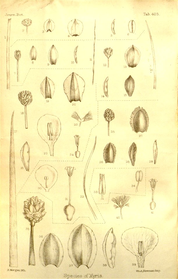 n567_w1150