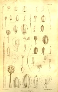 n567_w1150
