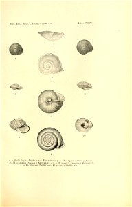 n296_w1150