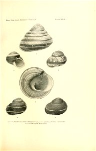 n266_w1150