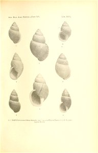n206_w1150
