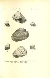 n176_w1150