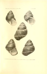 n146_w1150