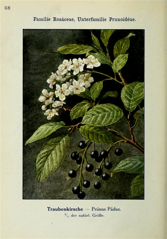 n209_w1150