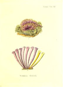 n206_w1150