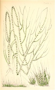 n192_w1150