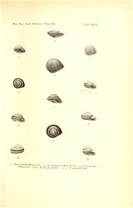 n62_w1150