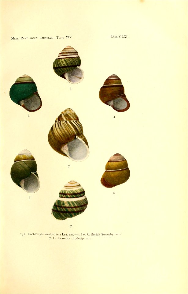 n352_w1150