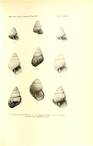 n170_w1150