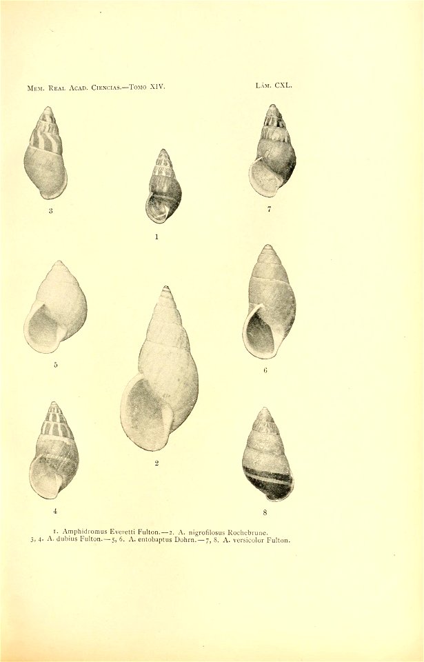 n288_w1150