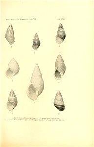 n288_w1150
