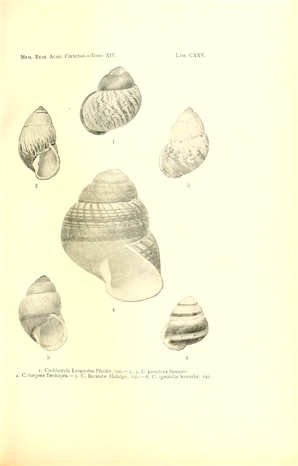 n258_w1150
