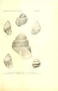 n258_w1150