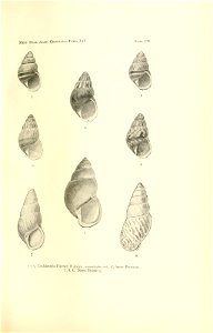 n228_w1150