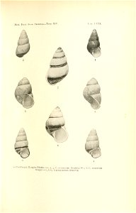 n168_w1150