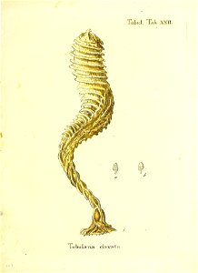 n228_w1150