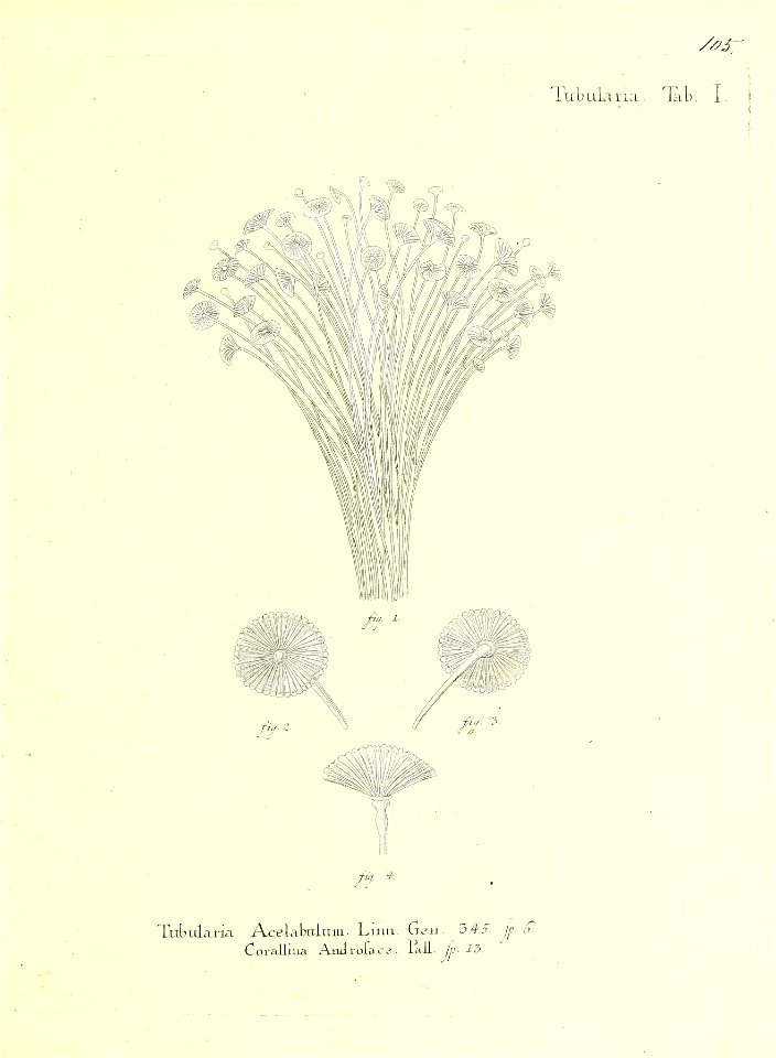 n212_w1150
