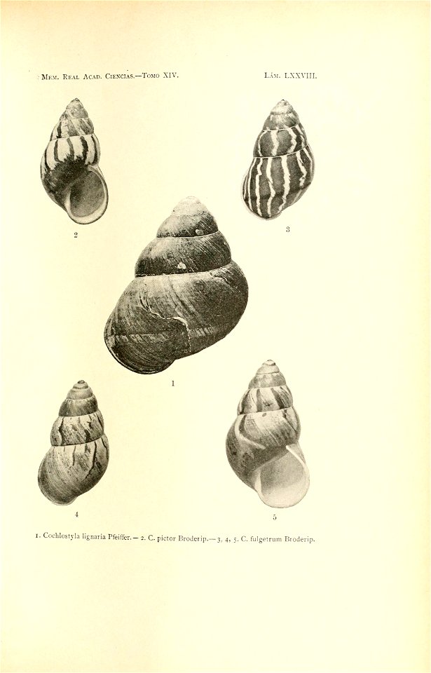 n164_w1150