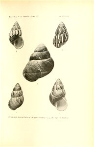 n164_w1150