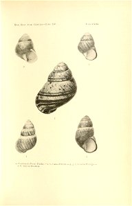 n134_w1150