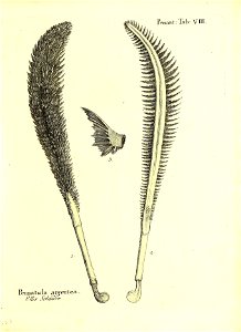 n256_w1150