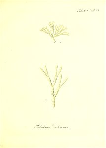 n196_w1150