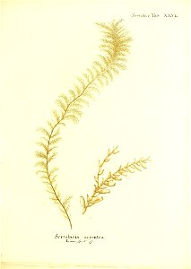 n166_w1150