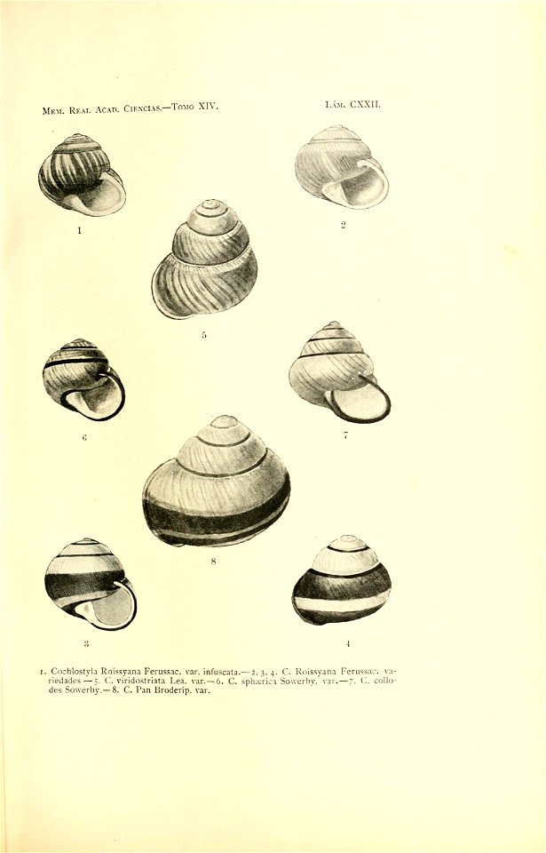 n252_w1150