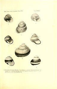 n252_w1150