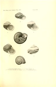 n222_w1150