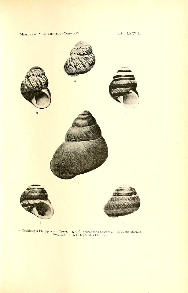 n162_w1150