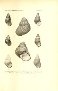 n192_w1150