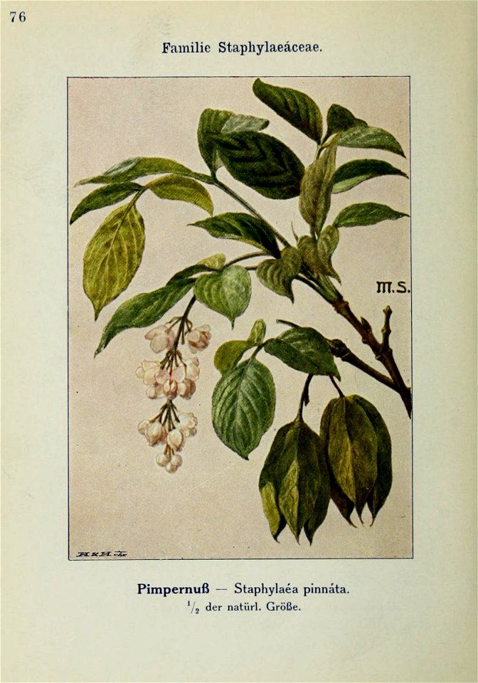 n225_w1150