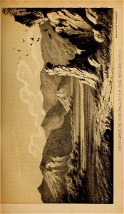 n294_w1150