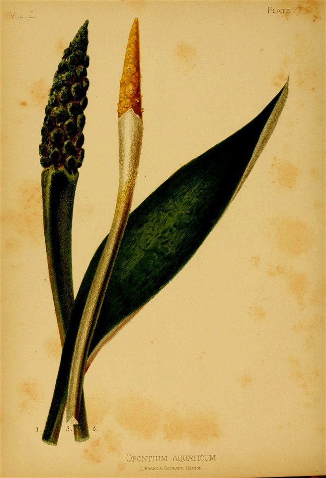 n171_w1150