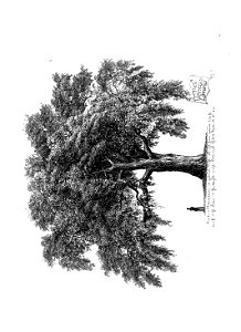 n66_w1150