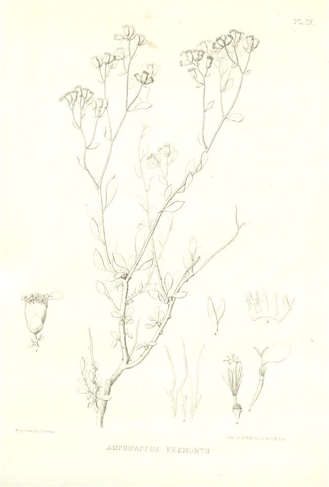 n33_w1150