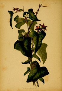 n159_w1150