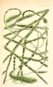 n308_w1150