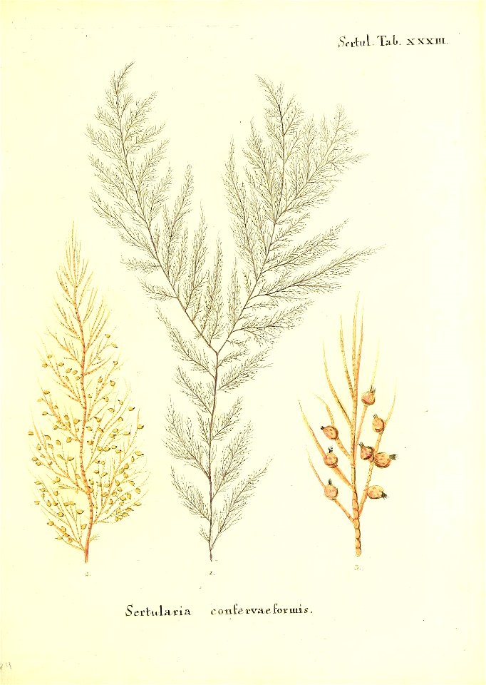 n178_w1150