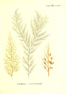 n178_w1150
