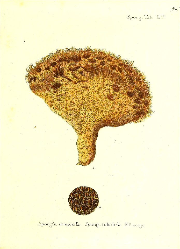n192_w1150